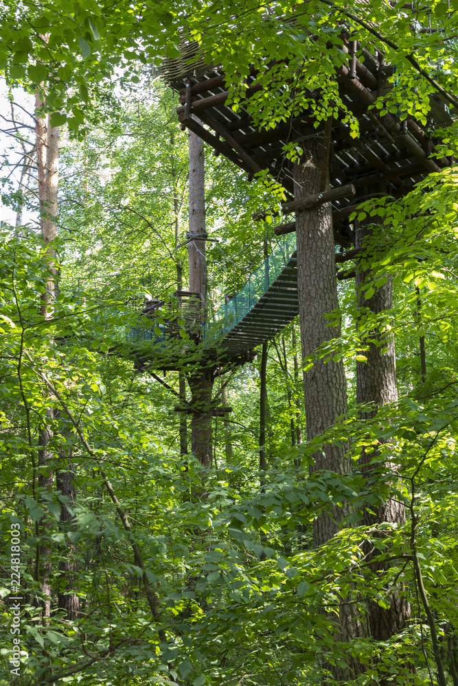 the house is located high on the trunk of trees in the forest, wooden bridges stretched between the trees, a place to relax and unity with nature the house is located high on the trunk of trees in the forest, wooden bridges stretched between the trees, a place to relax and unity with nature