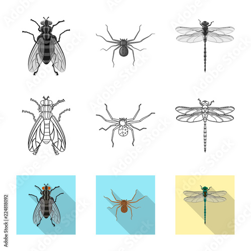 Isolated object of insect and fly icon. Set of insect and element stock symbol for web. © Svitlana