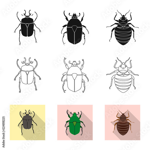 Isolated object of insect and fly sign. Set of insect and element stock symbol for web.