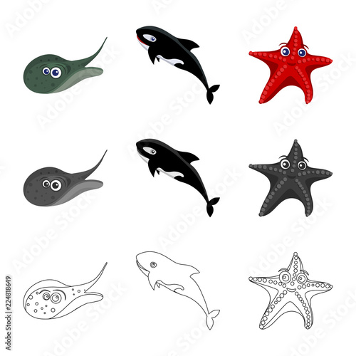 Isolated object of sea and animal icon. Collection of sea and marine stock symbol for web.
