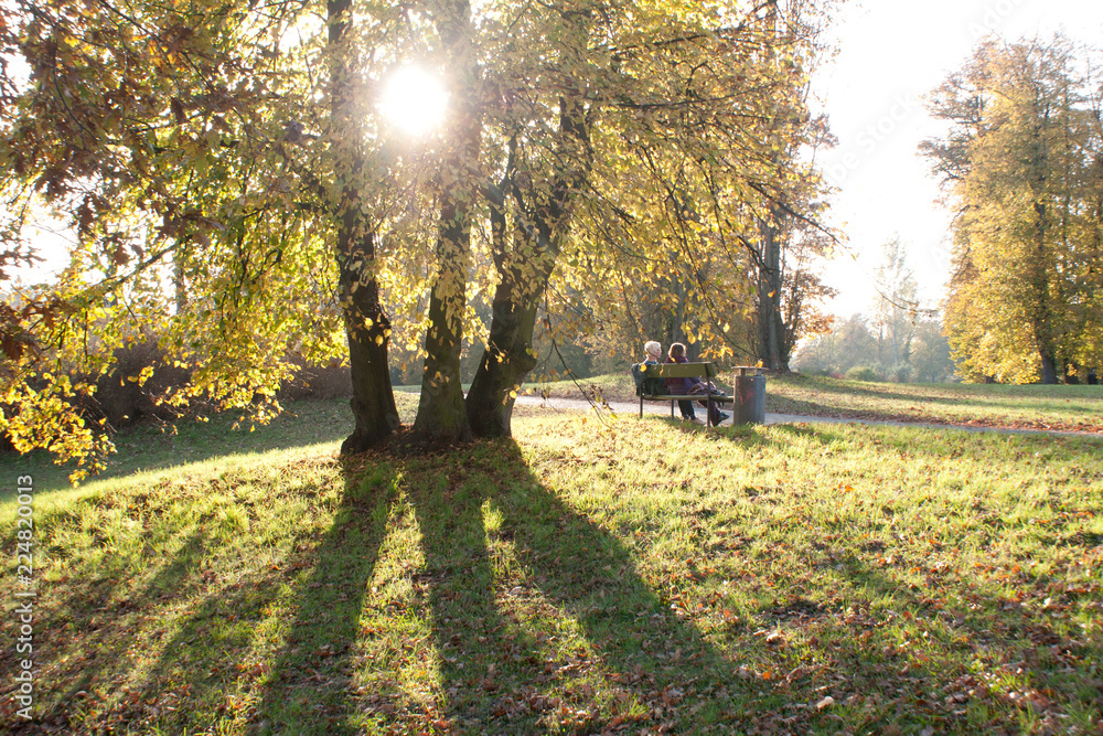 Naklejka premium Paar auf einer Bank
