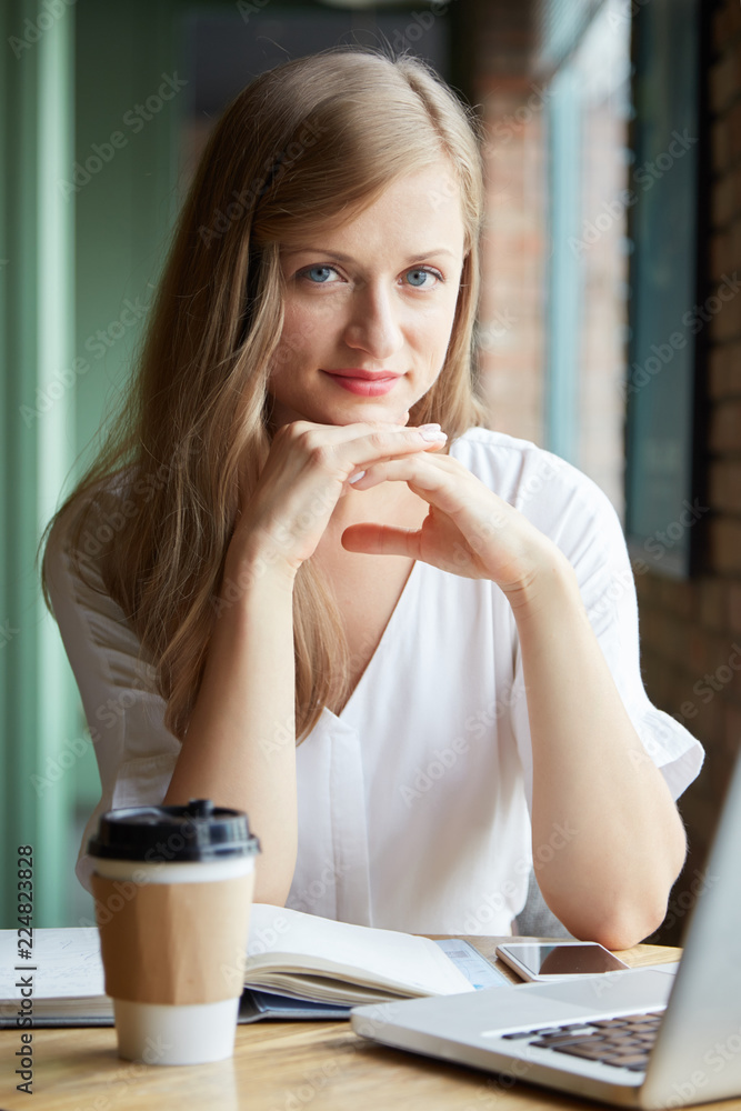 Pretty smiling young woman drinking coffee and working on laptop in cafe