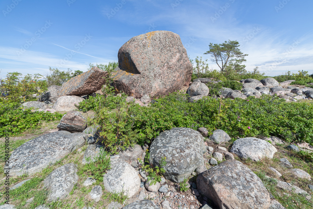 A huge granite boulder on Cape Purekkari in Estonia A huge granite boulder on Cape Purekkari in Estonia