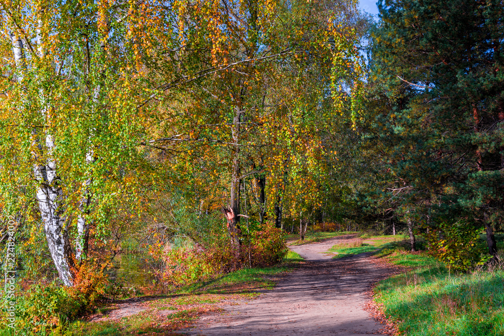 Russian autumn landscape in the park in September Russian autumn landscape in the park in September
