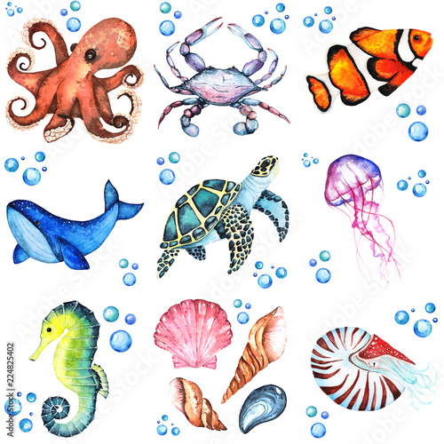 Watercolor illustration set of many differentent sea animasls