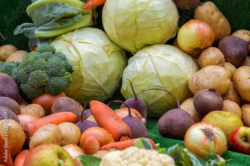 fresh vegetables lie on the ground or in a basket