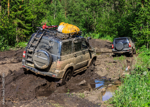 SUVs on the forest road