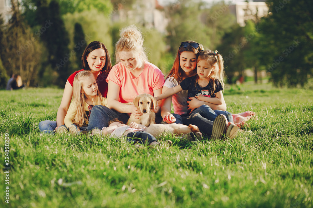 group with dogs group with dogs