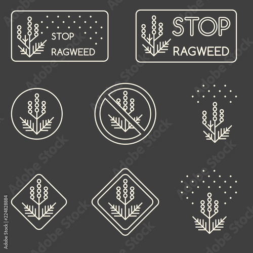 Set of minimalist linear signs about ragweed, dangerous weed, allergy cause