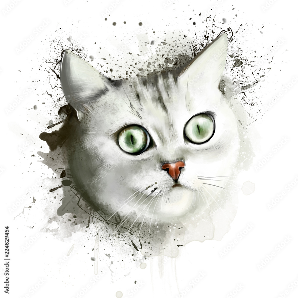 Portrait of a young beautiful cat with sky blue eyes, close - up on a white  background with spray paint. Print on clothes or other accessories Stock  Illustration | Adobe Stock