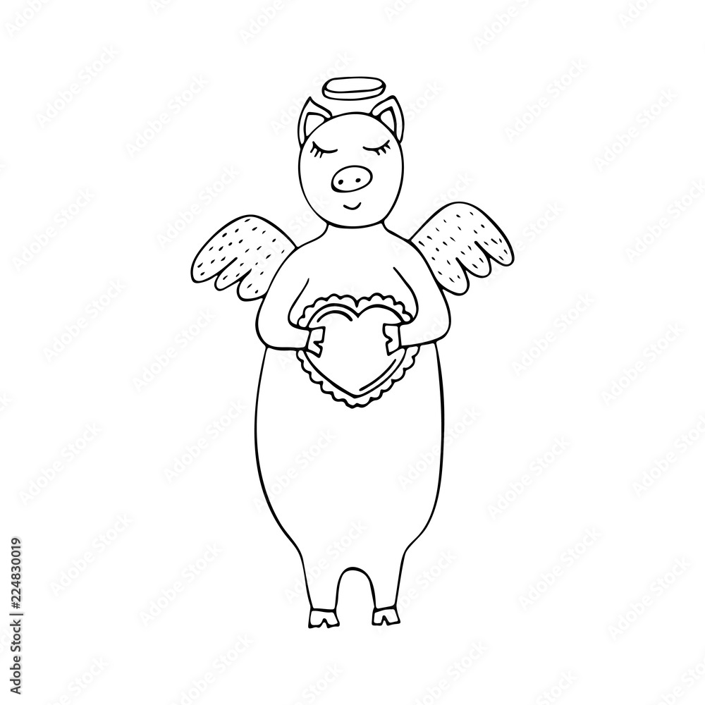 Funny monochrome hand-drawn vector pig Cupid with wings and heart in his hands. Funny monochrome hand-drawn vector pig Cupid with wings and heart in his hands.