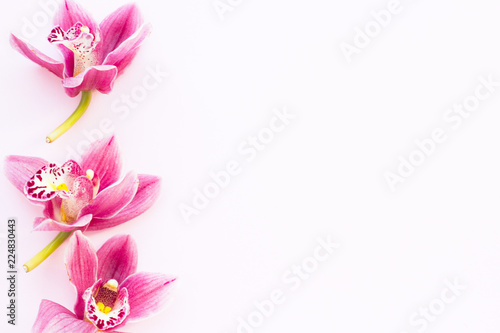 Spa and wellness setting with orchid flower  oil on wooden white background closeup top view