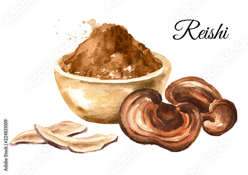 Dried Reishi ganoderma lucidum mushroom with powder. Superfood. Watercolor hand drawn illustration, isolated on white background photo