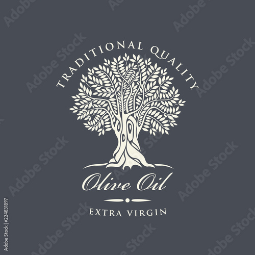 Vector banner or label for extra virgin olive oil with decorative olive tree and handwritten inscriptions on dark background in retro style