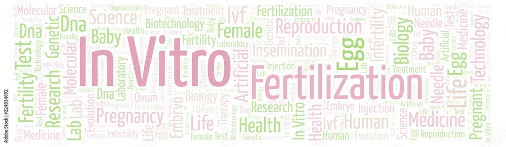 In Vitro Fertilization in banner form word cloud. In Vitro Fertilization in banner form word cloud.