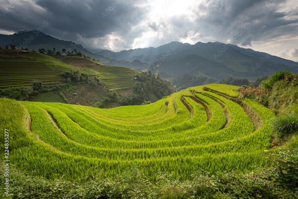 landscape rice fields on terraced of Mu Cang Chai, YenBai, Vietnam
landscape rice fields on terraced of Mu Cang Chai, YenBai, Vietnam