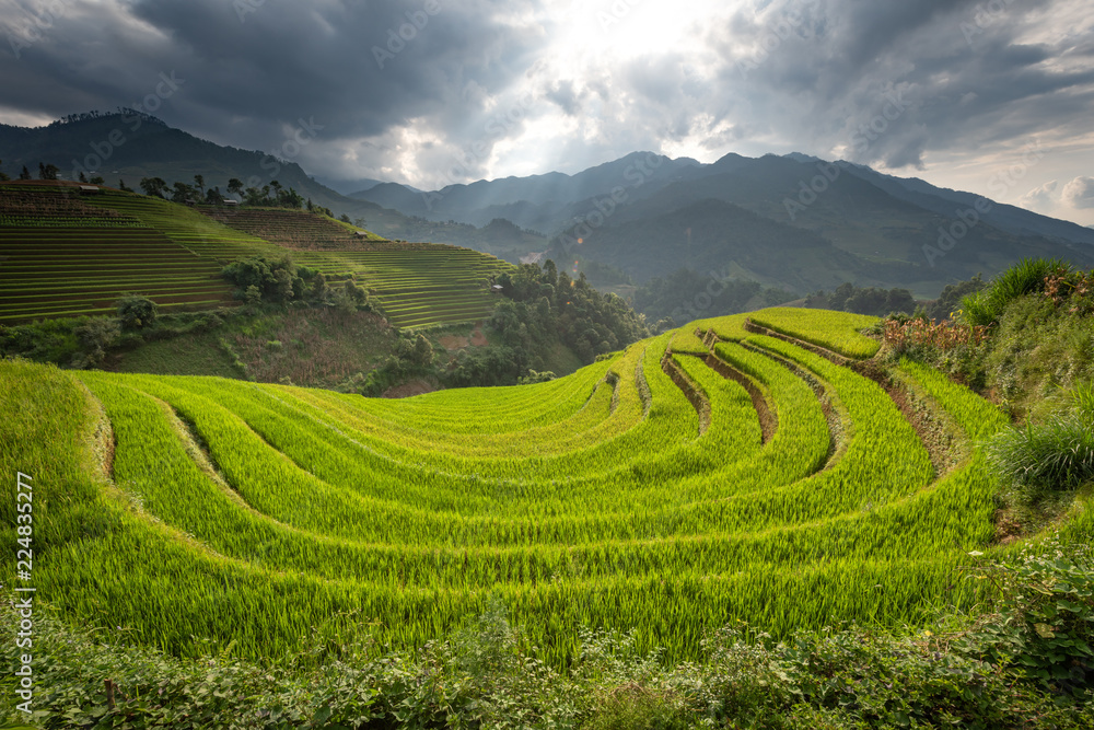 landscape rice fields on terraced of Mu Cang Chai, YenBai, Vietnam

