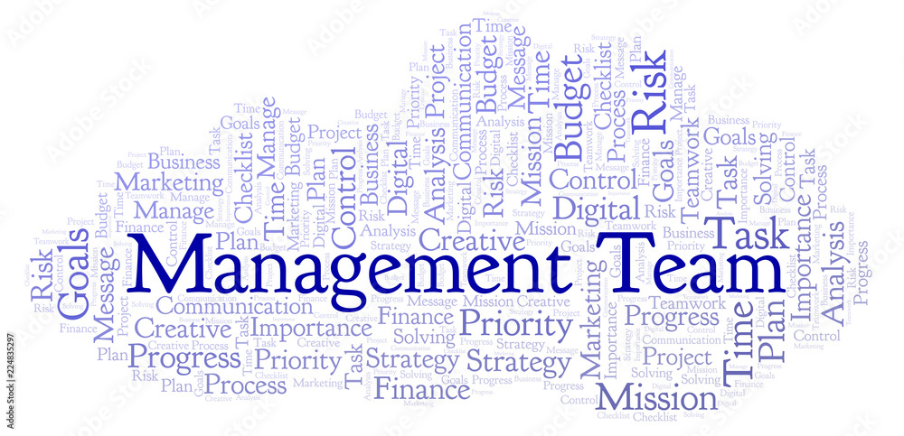 Fototapeta premium Management Team word cloud, made with text only.