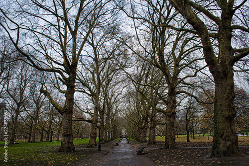 Empty trail surrounded by naked trees in Green Park, London, UK