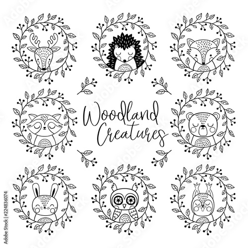 A vector set of hand drawn cute woodland animals. Perfect for stickers, tee shirt logo, greeting card, poster, invitation, print design. 