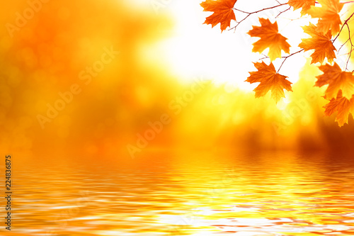 autumn landscape with bright colorful foliage. Indian summer.