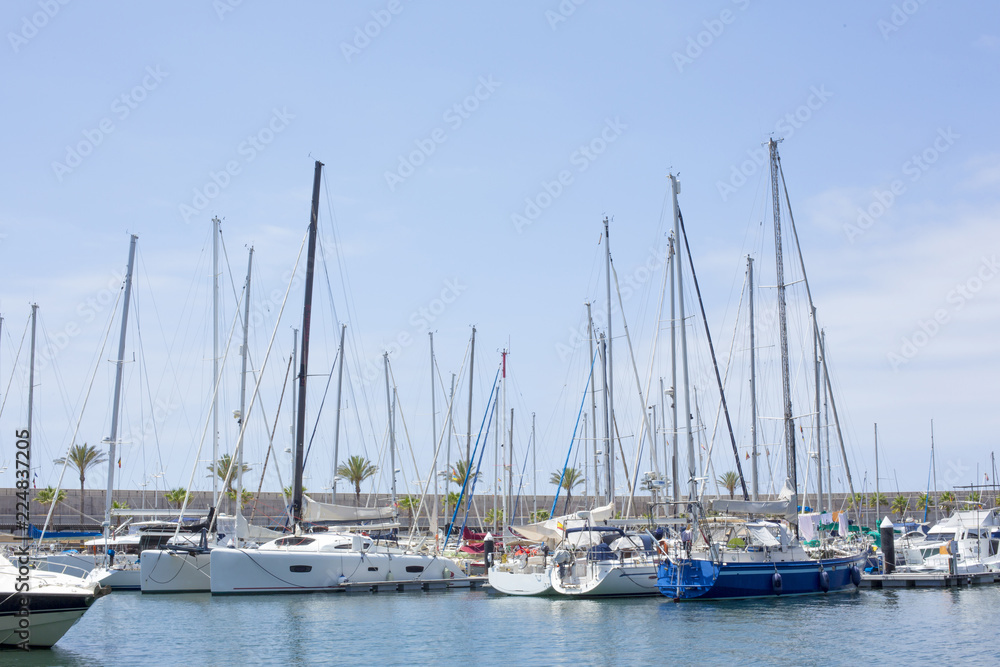 boats moored in the harbor