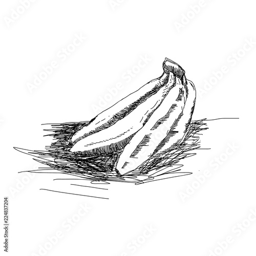 banana sketch drawing