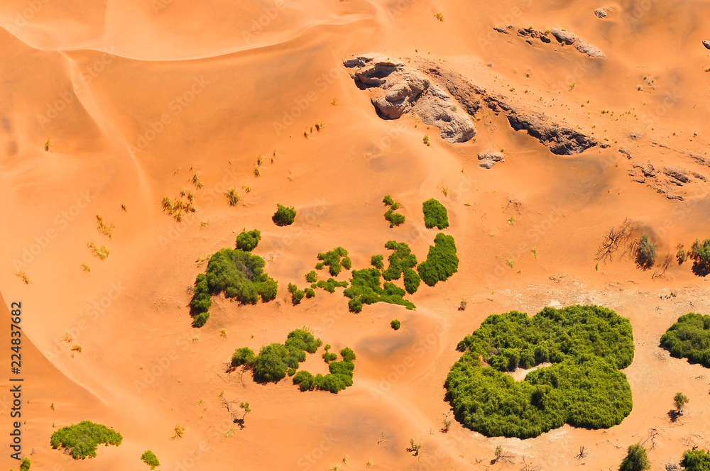 Aerial view of red dunes and grasses of the Sossusvlei Namib desert in Namibia.