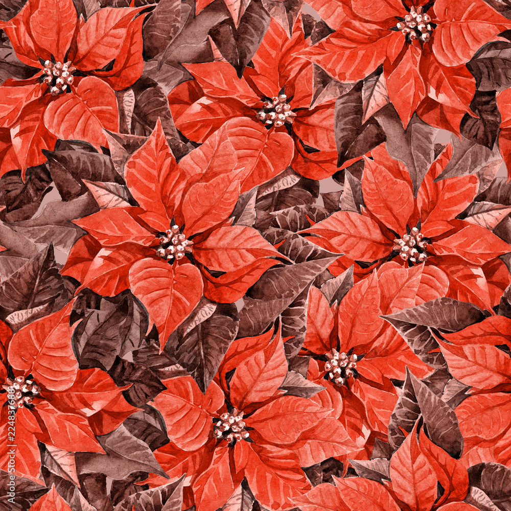 Seamless pattern of poinsettia, watercolor background Christmas illustration. Seamless pattern of poinsettia, watercolor background Christmas illustration.