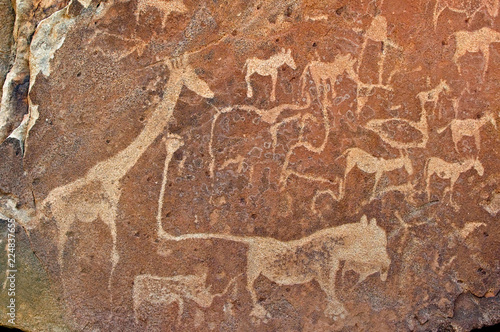 Bushmen petroglyphs, Twyfelfontein rock art site in Damaraland, southern Kaokoveld Wilderness, Namibia. photo