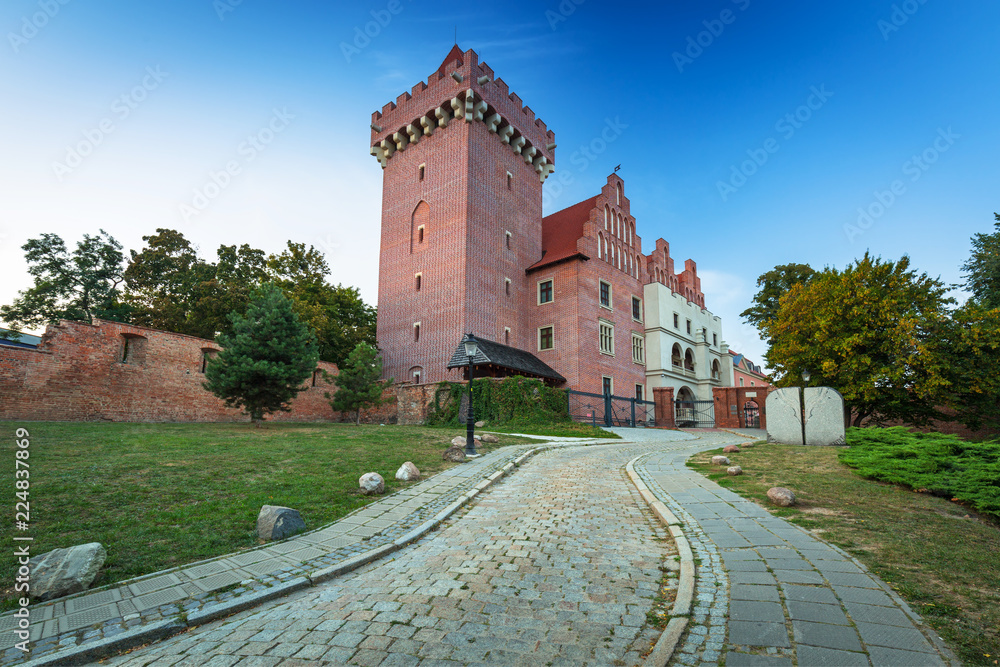 The Royal Castle in old town of Poznan, Poland
