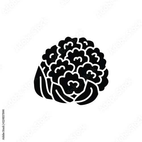 Black & white vector illustration of cauliflower head. Flat icon of fresh organic cabbage vegetable with leaves. Vegan & vegetarian food. Isolated on white background.