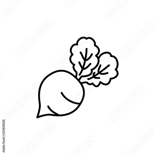 Black & white vector illustration of table beet vegetable. Line icon of fresh organic garden beet veggie with leaves. Vegan & vegetarian food. Isolated  on white background.