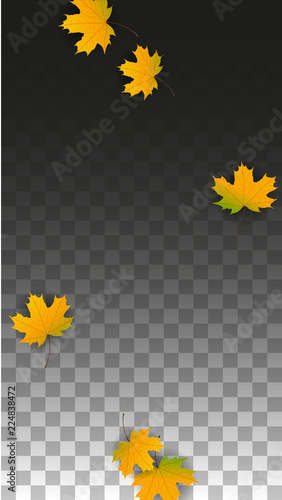 September Vector Background with Golden Falling Leaves. Autumn Illustration with Maple Red, Orange, Yellow Foliage. Isolated Leaf on Transparent Background. Bright Swirl. Suitable for Posters.
