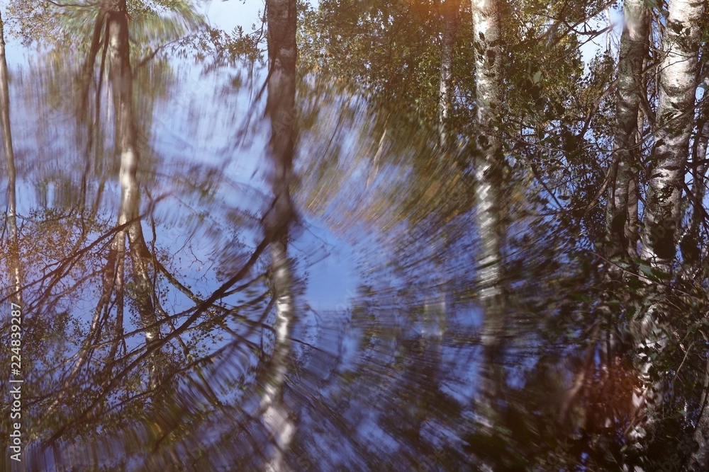 Reflection of trees and sky in the water. The beauty of forest nature in unusual angles. Reflection of trees and sky in the water. The beauty of forest nature in unusual angles.