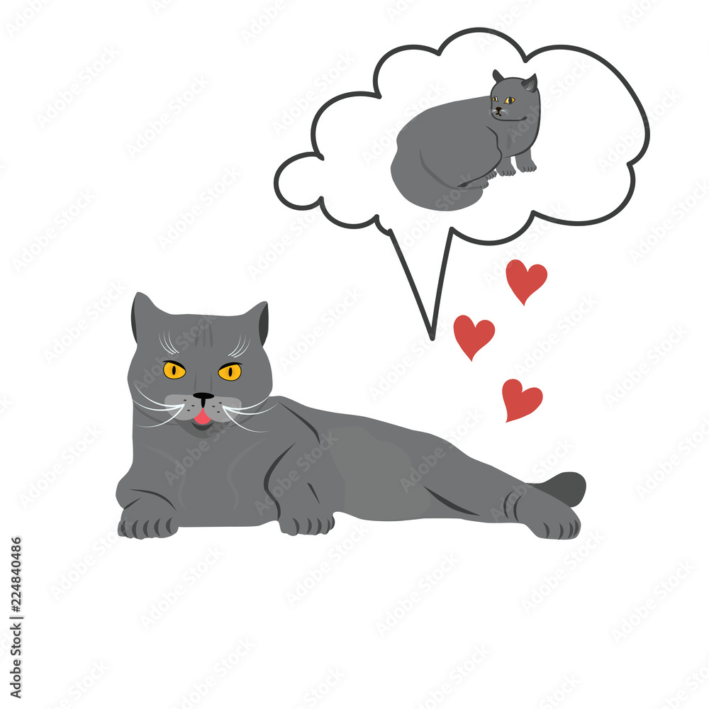 Love of two cute cats breed British Shorthair, vector illustration on isolated white background. Illustration for your design. Love of two cute cats breed British Shorthair, vector illustration on isolated white background. Illustration for your design.