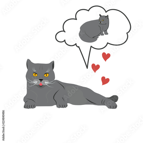 Love of two cute cats breed British Shorthair, vector illustration on isolated white background. Illustration for your design.