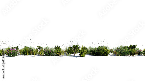 3d rendering of a group of plants raw for architectrural background use isolated on white