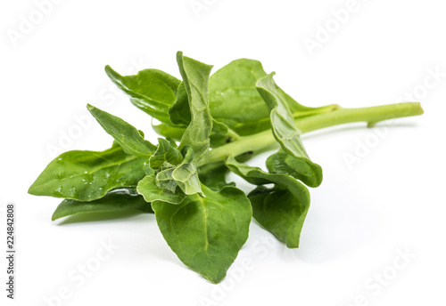 Organic New Zealand spinach isolated on white background