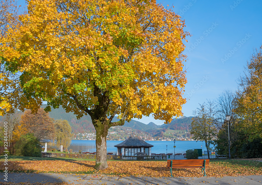 Obraz premium Malerisches Seeufer am Tegernsee in Abwinkl, goldener Ahorn und Pavillon im Kurpark