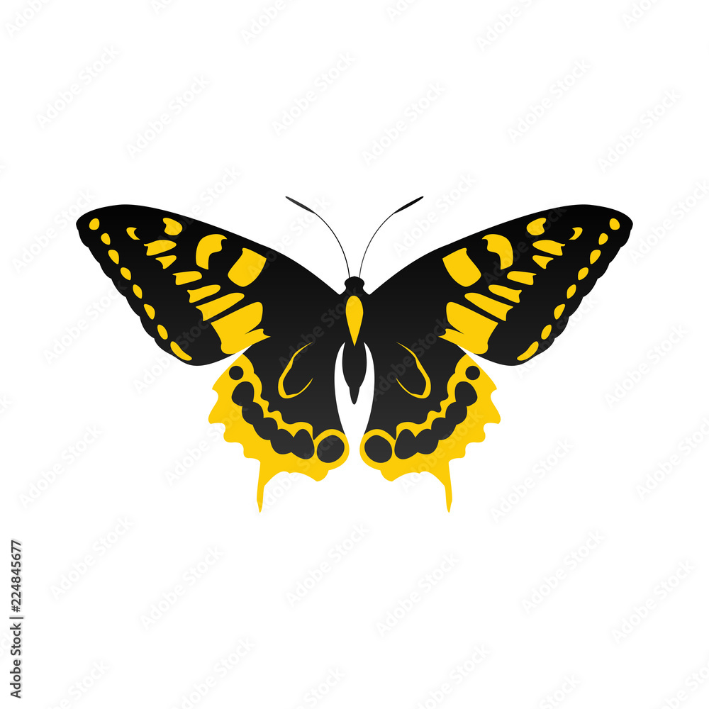 butterfly logo icon design template vector butterfly logo icon design template vector