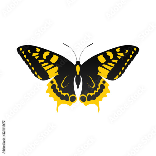 butterfly logo icon design template vector © sidik