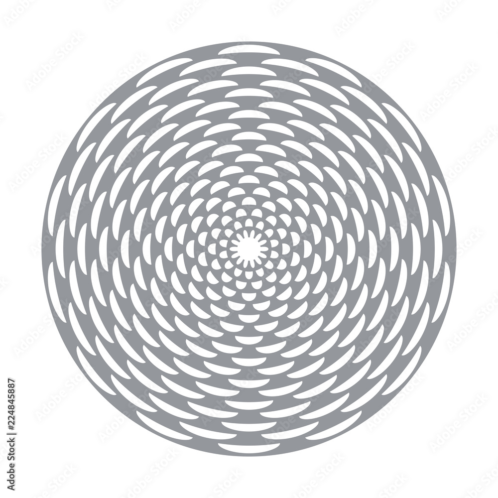 Circle decorative design element. Circle decorative design element.