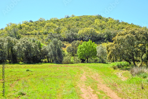 Hill in Alportel valley, Algarve, Portugal