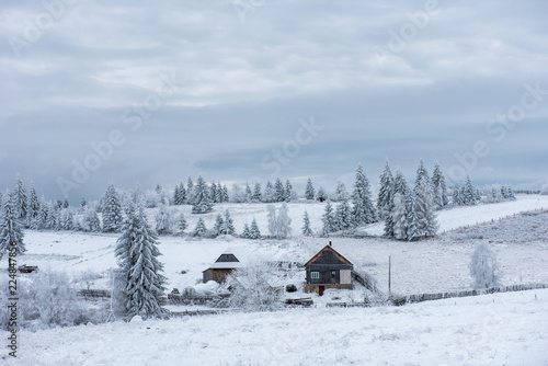 Winter woderland with chalet © salajean