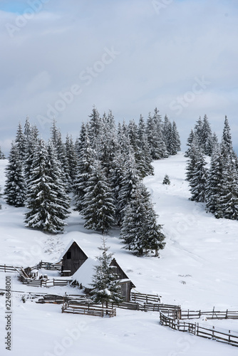Fotografia Alpine village in winter in Transylvania