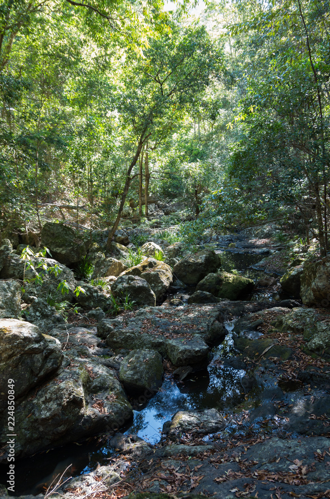 Gheerulla Creek