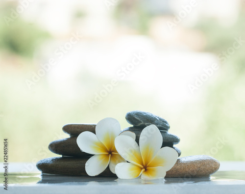 Set with tropical flowers and stones outdoors with sunlight