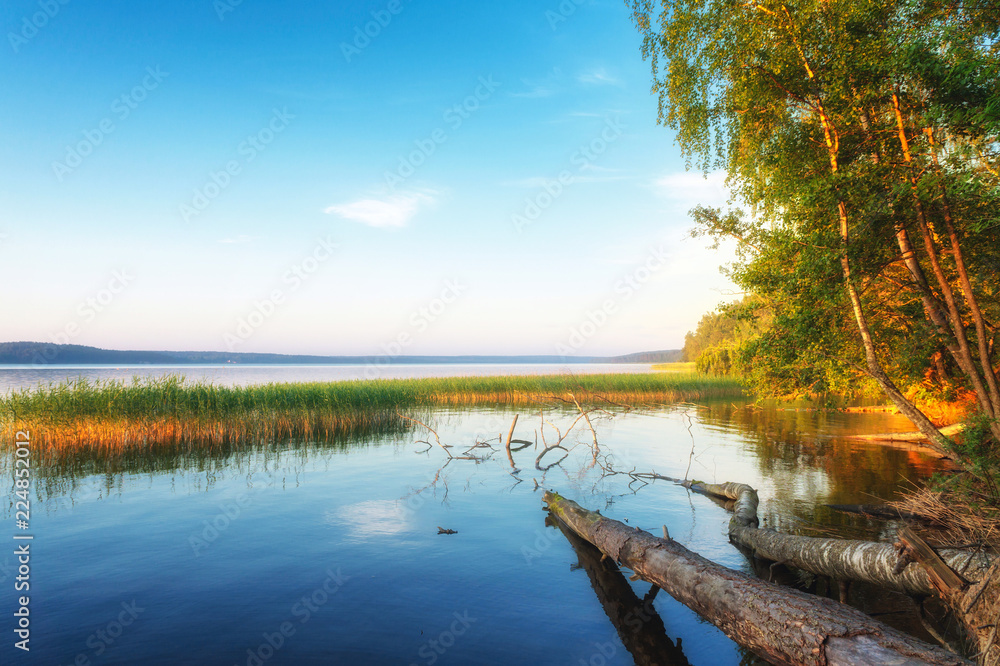 Naklejka premium Mirror Lake water with reflection of pure heaven