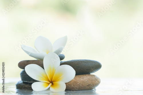 spa flowers in stones on white marble background.